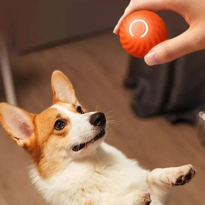 Automatic Moving Ball