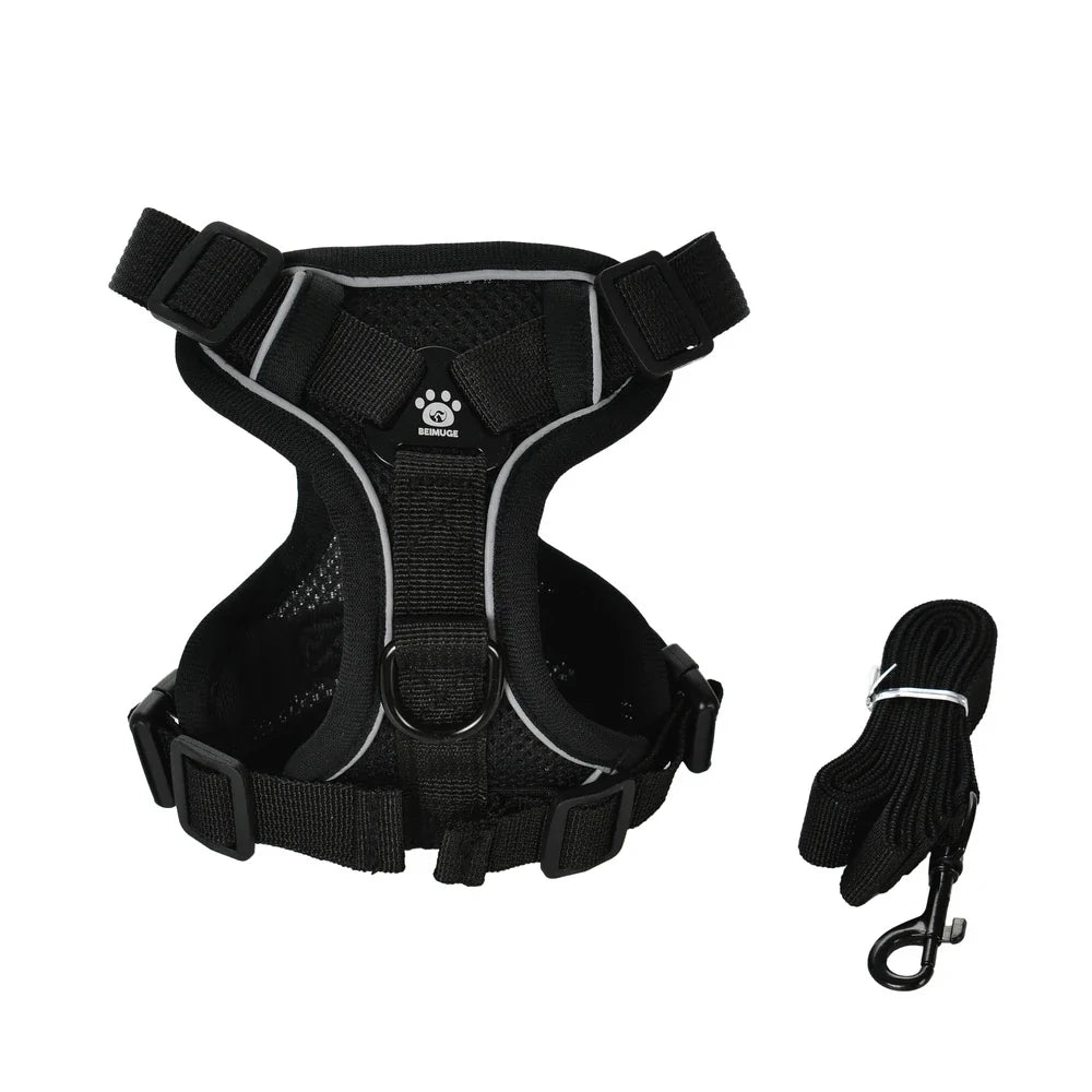 Dog Harness Leash Set For Small Medium Dogs