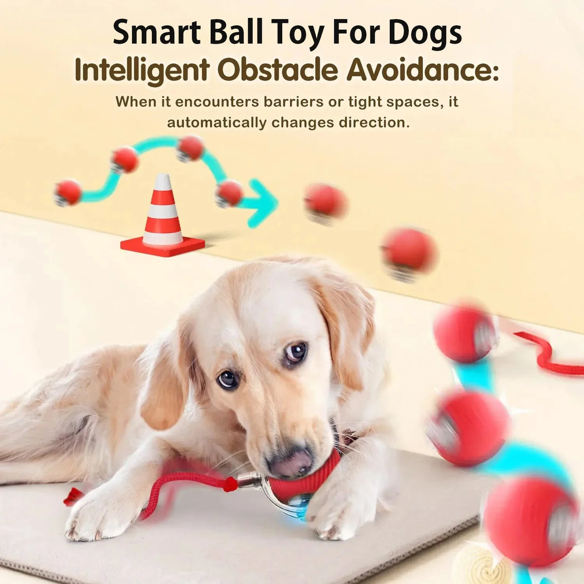 Interactive Toy Ball