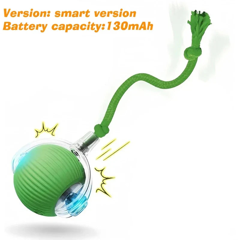Interactive Toy Ball