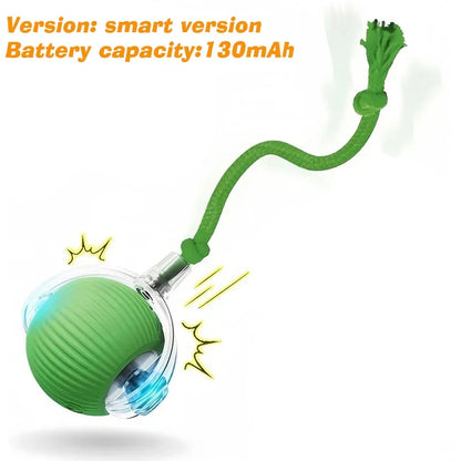 Interactive Toy Ball