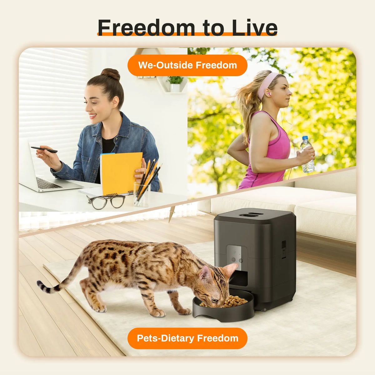 Smart Pet Feeder Automatic