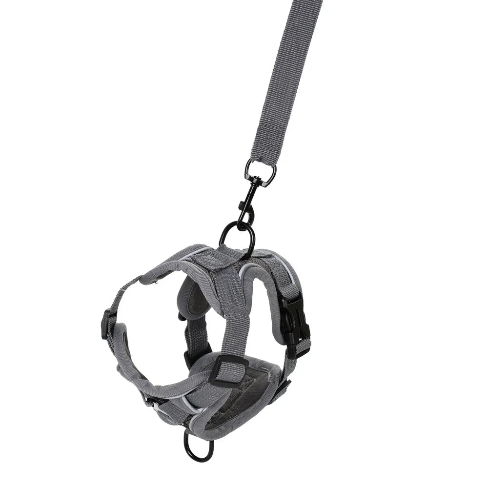 Dog Harness Leash Set For Small Medium Dogs