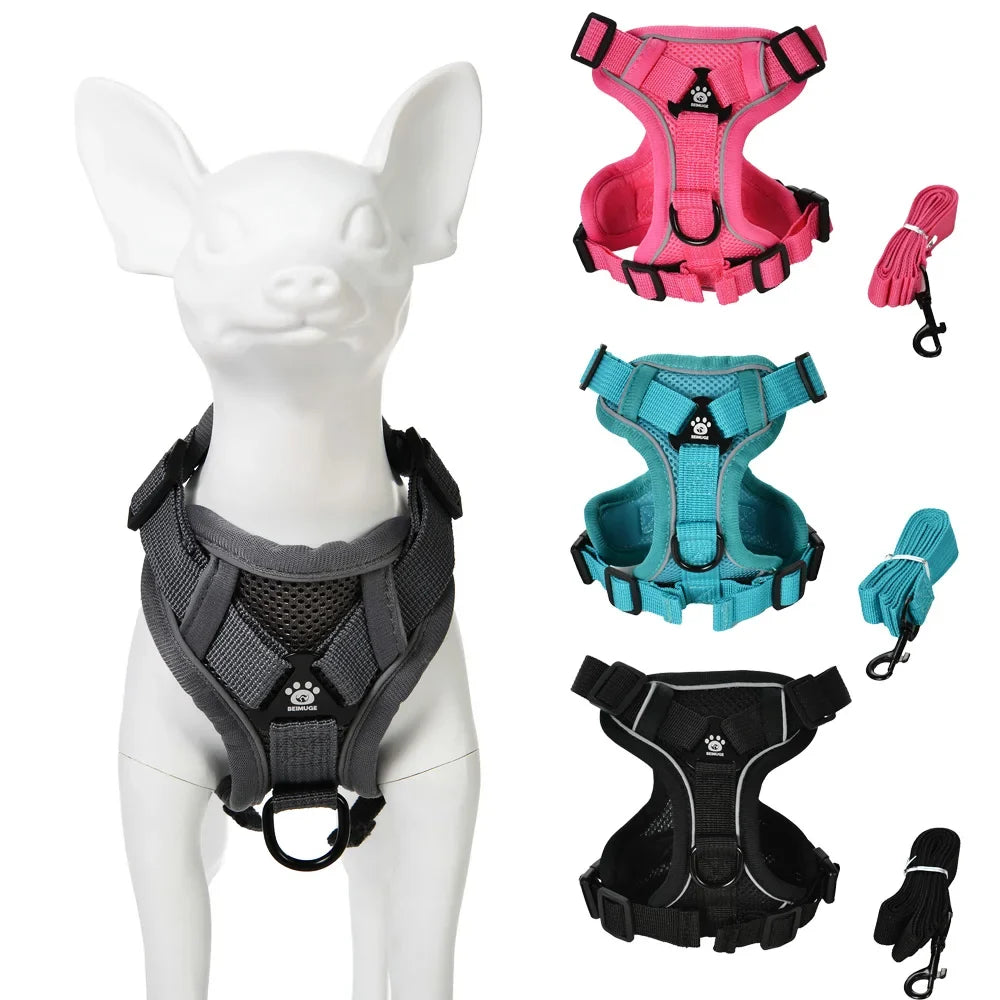 Dog Harness Leash Set For Small Medium Dogs