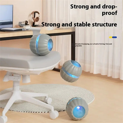 Electric Interactive Ball