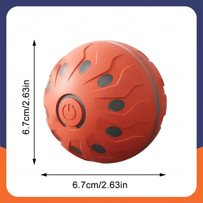 Electric Interactive Ball