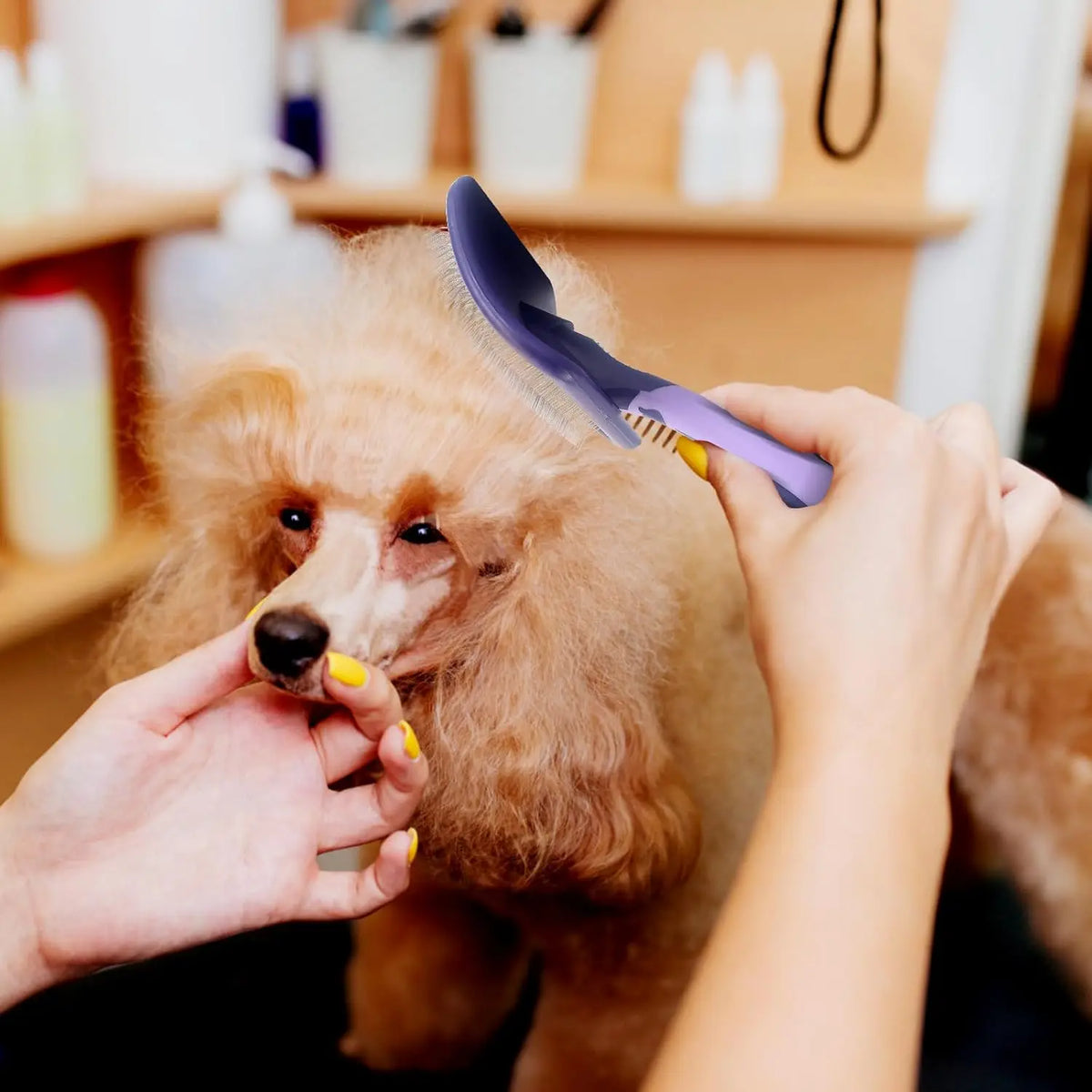 Dog Brush