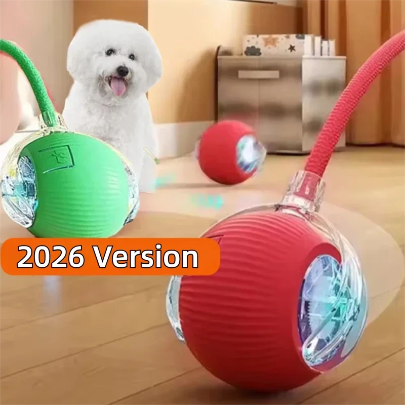 Interactive Toy Ball