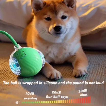 Interactive Toy Ball
