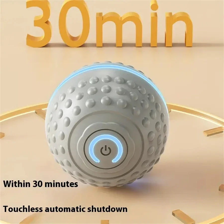 Electric Interactive Ball