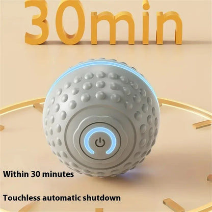 Electric Interactive Ball