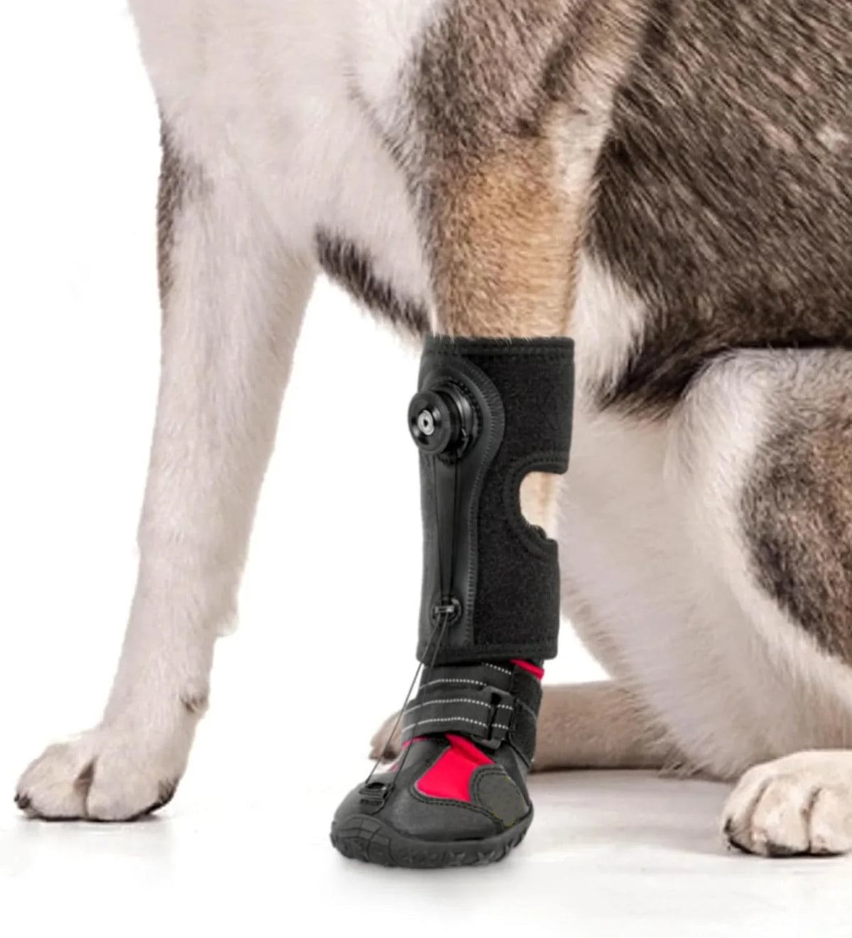 Dog Shoes