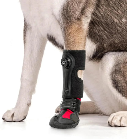 Dog Shoes