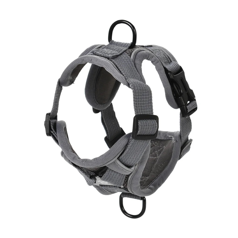 Dog Harness Leash Set For Small Medium Dogs