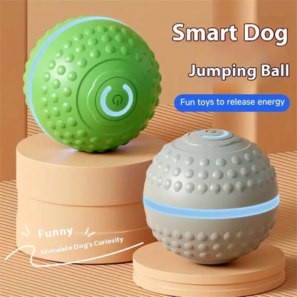 Electric Interactive Ball