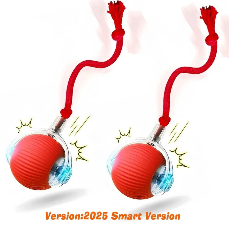 Interactive Toy Ball