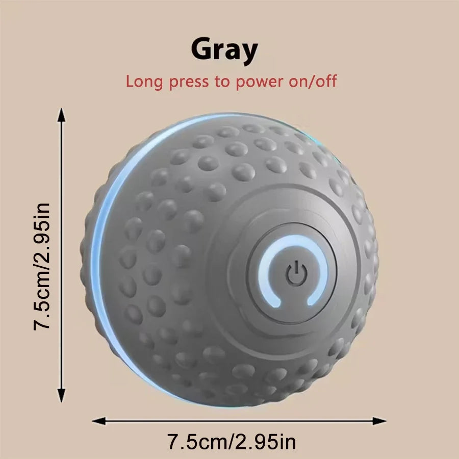 Electric Interactive Ball